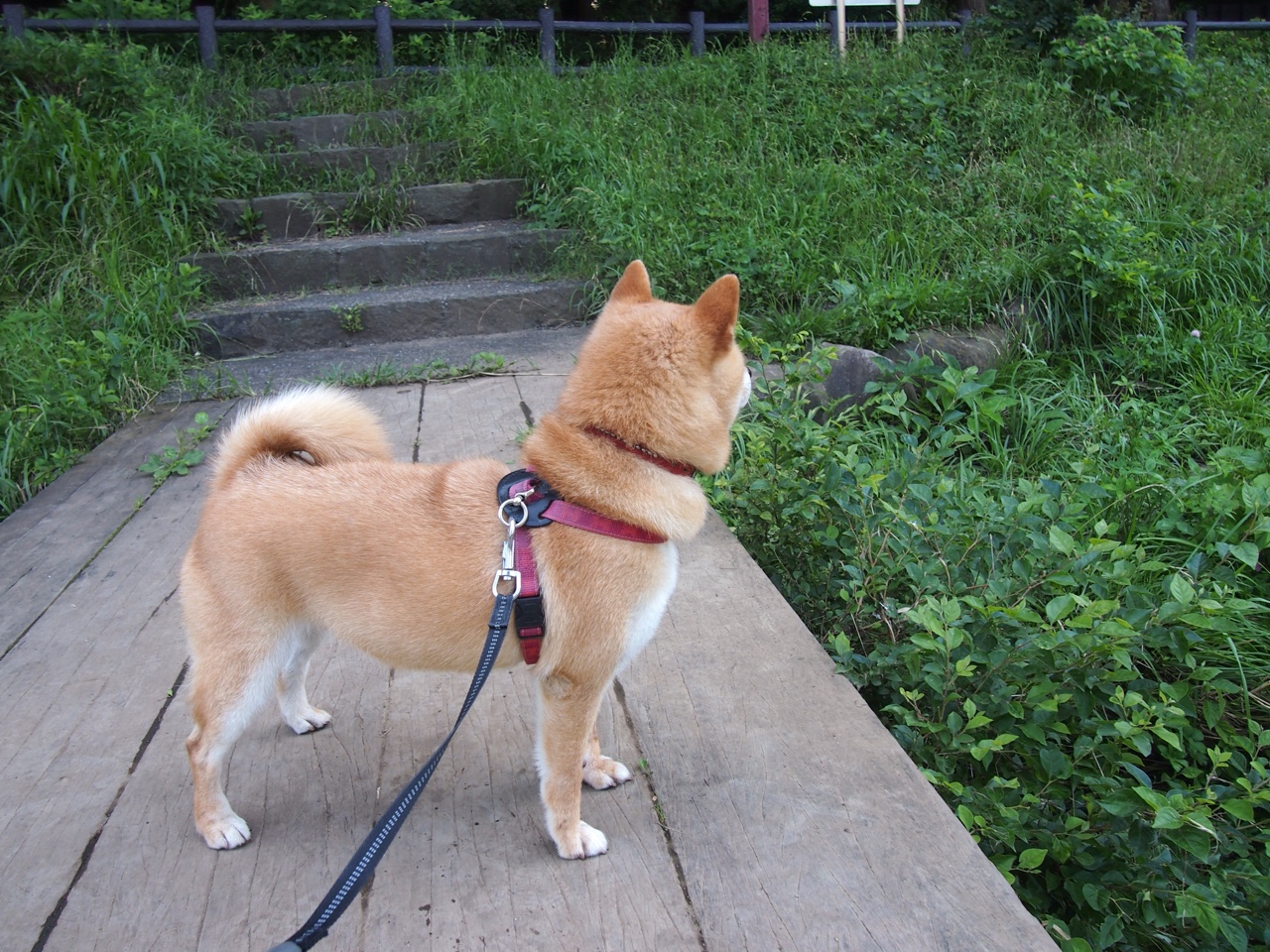 _冰雪艺术节:冰雕、冰舞与运动的融合_,这些冰雕艺术品太美了