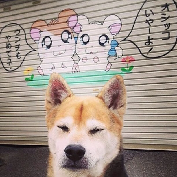 _场外精彩：明星访谈、公益活动多姿多彩_，明星访谈节目