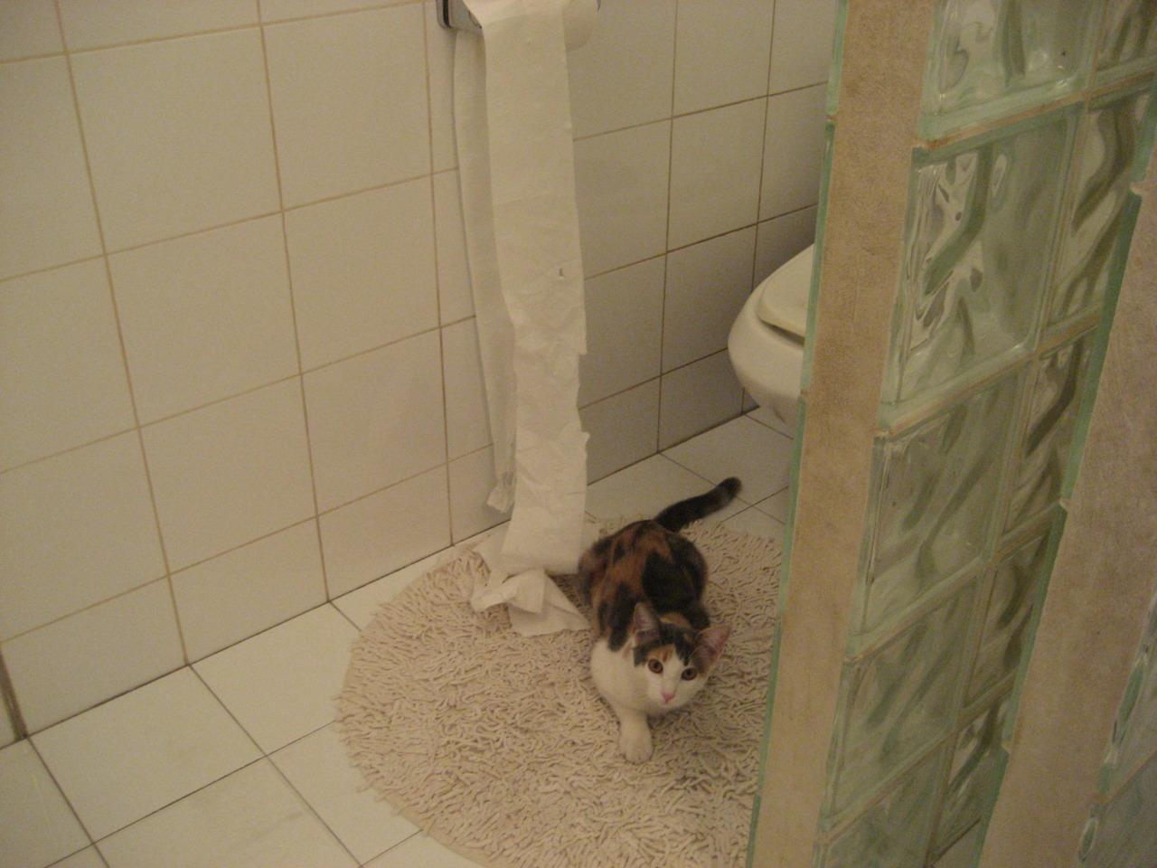 传统民族竹竿舞比赛，文化传承的运动盛典，竹竿舞民族舞