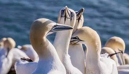 爱游戏电竞-【比赛现场】激烈对抗背后的战术布局揭秘，激烈对抗性强的项目有哪些