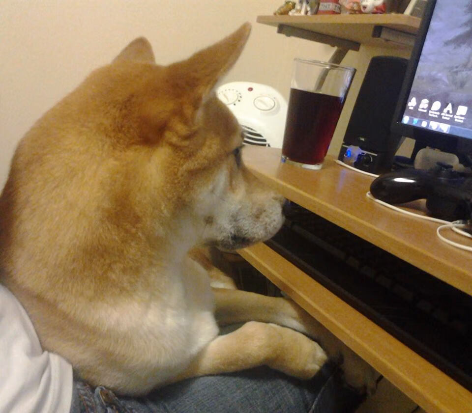 _体育申办新思路：打造全球独一无二的体育盛会_，体育赛事申办的具体流程是什么