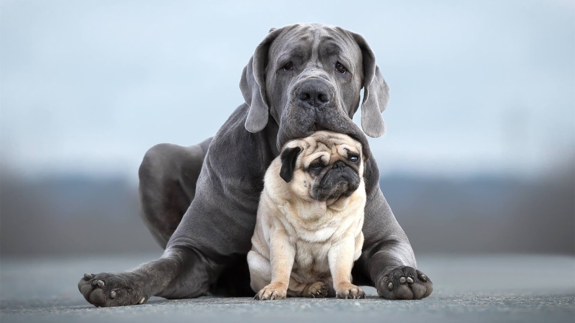 “新赛季中超志在必得，期待精彩纷呈的比赛”，新赛季中超地点